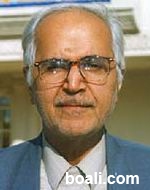 Arefi - Hasan - (internet).jpg