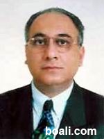 Mehmanesh - Hormoz - (internet).jpg